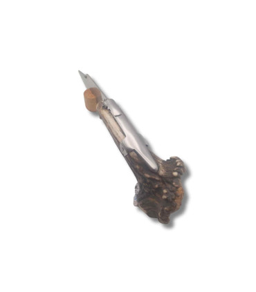 copy of 